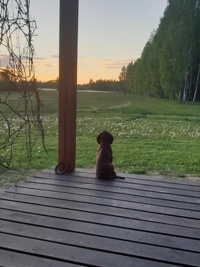 Ciche Podlasie Siemianowka Luaran gambar