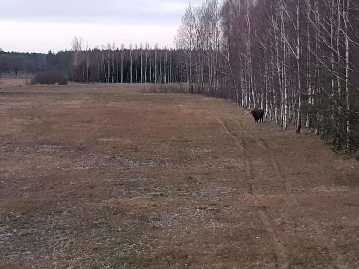Ciche Podlasie Siemianowka Luaran gambar