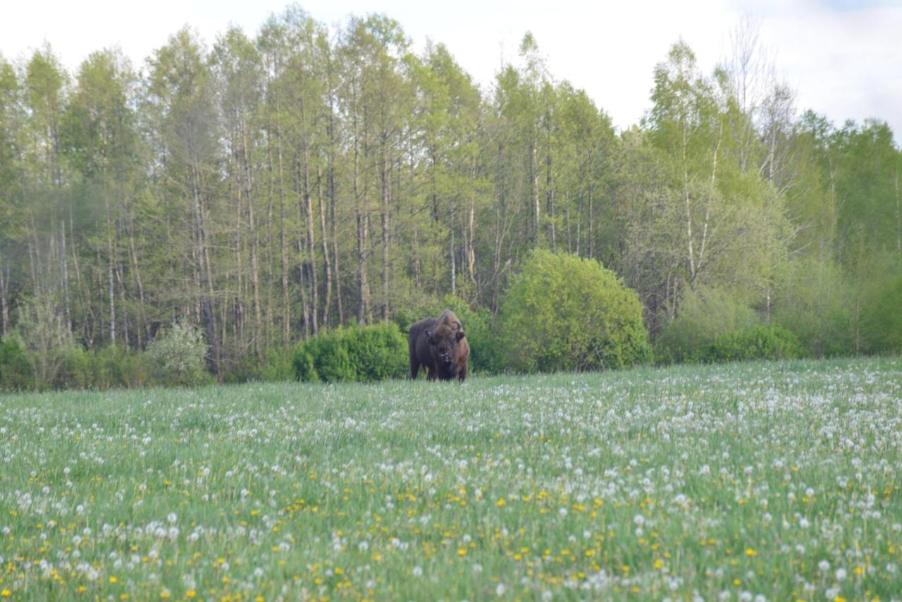 Ciche Podlasie Siemianowka Luaran gambar