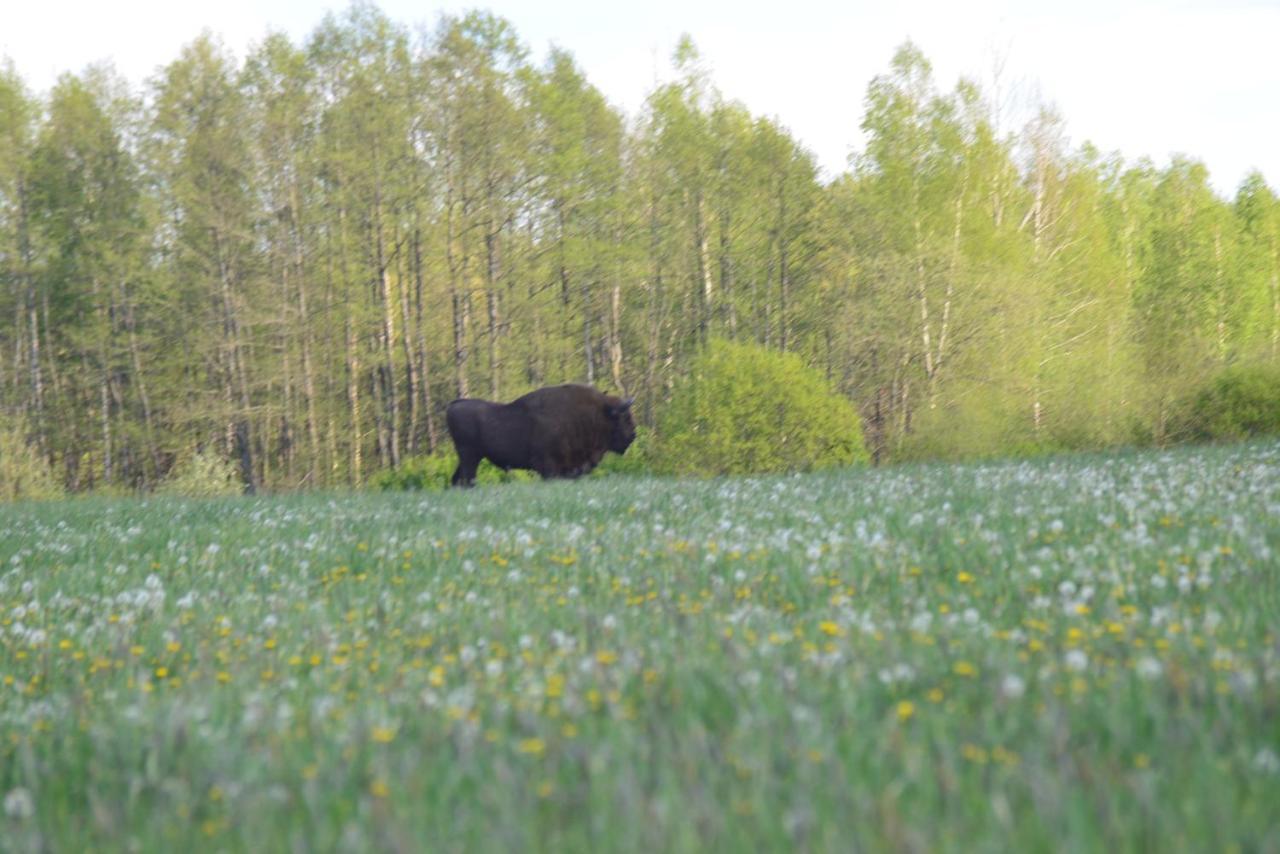 Ciche Podlasie Siemianowka Luaran gambar
